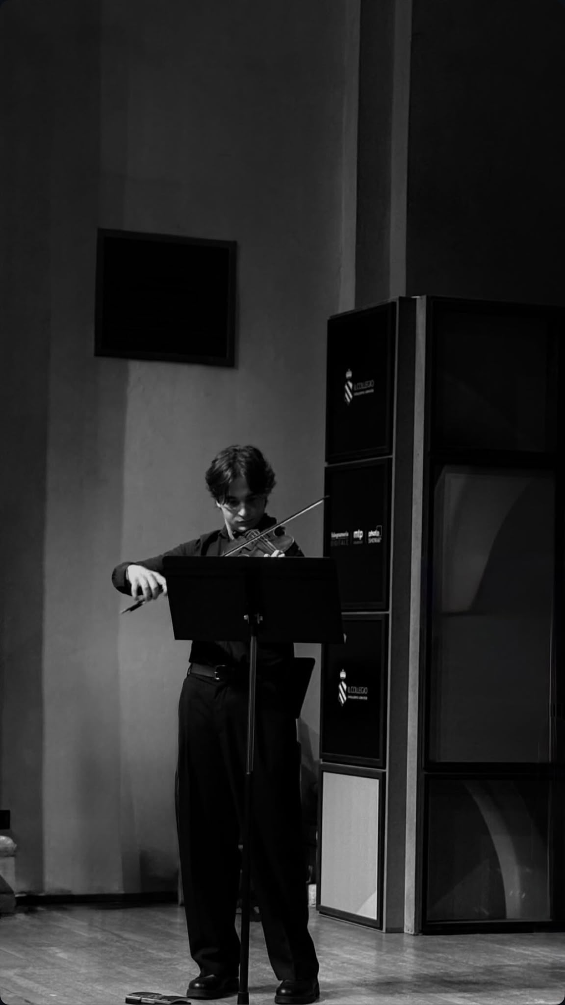 Ritratto del violinista
